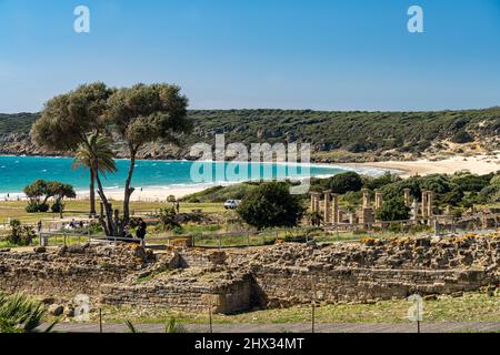 Die Römische Ruinen von Baelo Claudia an der Küste bei Bolonia, Tarifa, Costa de la Luz, Andalusia, Spanien | Baelo Claudia rovine romane al co Foto Stock