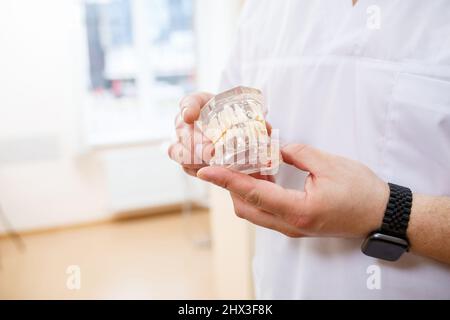 Primo piano di una miniatura di mascelle artificiali dentarie. Dentista ortodontista tiene un modello di denti nelle sue mani. Foto Stock