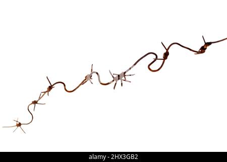 Filo spinato arrugginito isolato su sfondo bianco, foto astratta Foto Stock