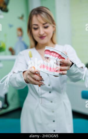 Primo piano di una miniatura di mascelle artificiali dentarie. Dentista ortodontista tiene un modello di denti nelle sue mani. Foto Stock