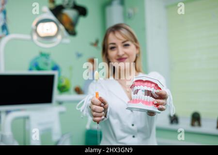 Primo piano di una miniatura di mascelle artificiali dentarie. Dentista ortodontista tiene un modello di denti nelle sue mani. Foto Stock