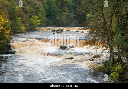 Cascate superiori di Aysgarth sul fiume Ure a Wensleydale, Yorkshire Dales National Park Foto Stock