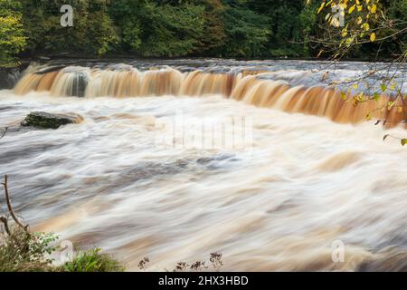 Cascate superiori di Aysgarth sul fiume Ure a Wensleydale, Yorkshire Dales National Park Foto Stock