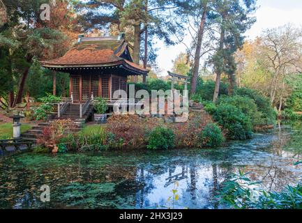 Vista autunnale del santuario shinto e stagno nel giardino giapponese a Tatton Park vicino Knustford, Cheshire Foto Stock