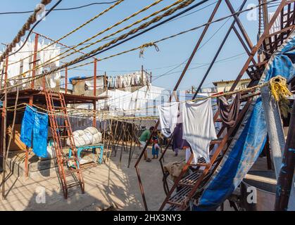 I vestiti e gli asciugamani puliti appena lavati si asciugano all'aperto a Mahalaxmi Dhobi Ghat, una grande lavanderia all'aperto a Mumbai, India Foto Stock