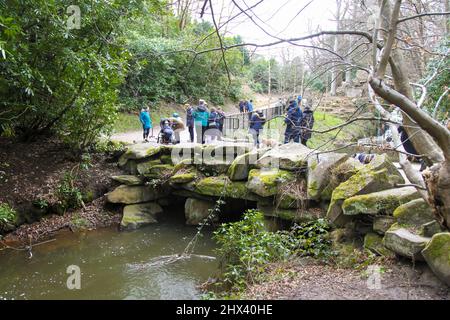 La cascata Cascade a Virginia Water Lake, Windsor Great Park, Surrey, marzo 2022 Foto Stock