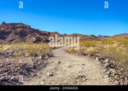 Sentiero escursionistico nel deserto nel Nevada meridionale Foto Stock