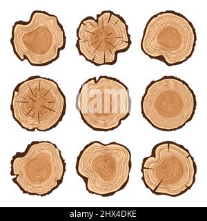 Tagli di tronco di albero tondo con crepe, segato pino o fette di quercia, legname. Legname tagliato da poco, legno. Struttura di legno marrone con anelli di albero. Schizzo disegnato a mano Illustrazione Vettoriale