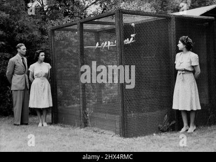 Animale domestico reale. Ottobre 10, 1954. Foto Stock