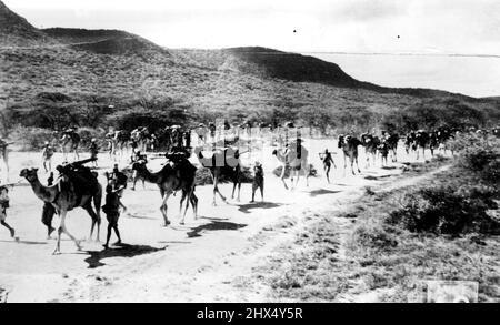 Truppe italiane ad Addis Abeba unità di mitraglieria, che sono state trasferite ad Addis Abeba, per mezzo del trasporto di cammelli, osando il recente ingresso ad Addis Abeba. Anche se le truppe italiane sono ormai ben insediate ad Addis Abeba, e Roma è in estetá, le truppe stanno ancora entrando nella capitale. Il saccheggio all'ingrosso e vicino alla città, e sono un pericolo costante. Maggio 7, 1936. (Foto di Keystone). Foto Stock