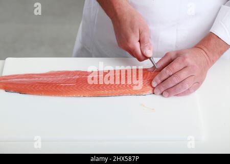 Pinboning filetto di salmone, afferrando l'osso con i pinboners e tirando verso la testa Foto Stock