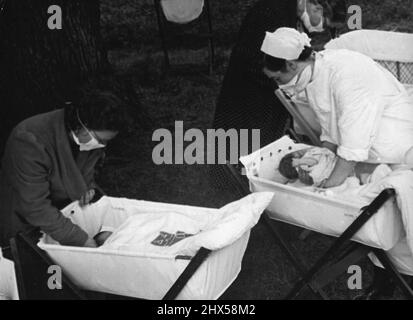 Mansion diventa Maternity Home al momento dell'allattamento le madri raccolgono i loro bambini dopo il loro snooze all'aria aperta. Settembre 19, 1951. (Foto della fotografia ufficiale britannica). Foto Stock