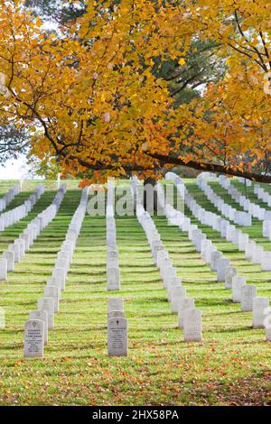 Stati Uniti d'America, Virginia, Arlington, il Cimitero Nazionale di Arlington, righe di lapidi Foto Stock