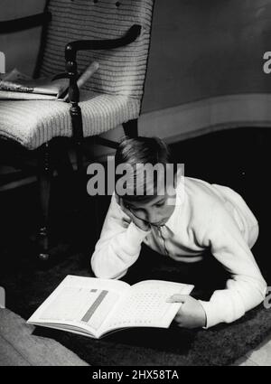 Cucciolo varie . Novembre 12, 1953. (Foto di D. Darian Smith). Foto Stock