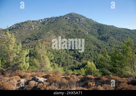Turchia, vicino a Datca, montagne ricoperti di pini nella penisola di Datca Foto Stock