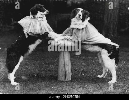 Raccontando la vecchia storia, solo un paio di cuccioli polverosi travestiti da Harry e Harriet in un luogo trysting vicino Oxford, Inghilterra. Gennaio 23, 1935. Foto Stock