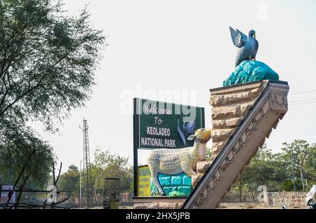 Bharatpur santuario degli uccelli o Keoladeo ghana parco nazionale in Rajasthan India è un parco di bird watching famoso in tutto il mondo Foto Stock