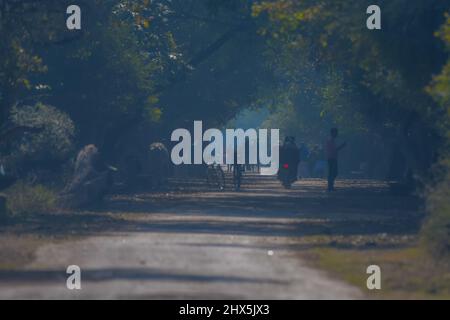 Bharatpur santuario degli uccelli o Keoladeo ghana parco nazionale in Rajasthan India è un parco di bird watching famoso in tutto il mondo Foto Stock