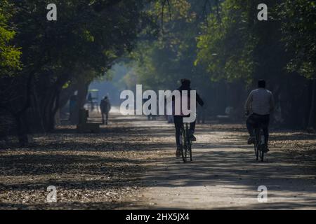 Bharatpur santuario degli uccelli o Keoladeo ghana parco nazionale in Rajasthan India è un parco di bird watching famoso in tutto il mondo Foto Stock