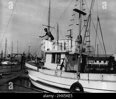 Screen Land sideline - Bill Edwards, 27-year-old contract player, spera un giorno per star in 'Quality Westerns' e film di mare. Il più vicino a quest'ultimo è sulle barche da pesca su cui lavora tra i ruoli dello schermo, l'ultimo dei quali è in "i nostri cuori stavano crescendo". Il Blonde 6 piedi-5, che era un artista commerciale in difficoltà a New York quando ha ottenuto la sua prima occasione a Hollywood, qui affronta la sua linea laterale di mare, mentre aiuta una barca da pesca nel molo. Luglio 23, 1946. (Foto di Wide World Photos). Foto Stock