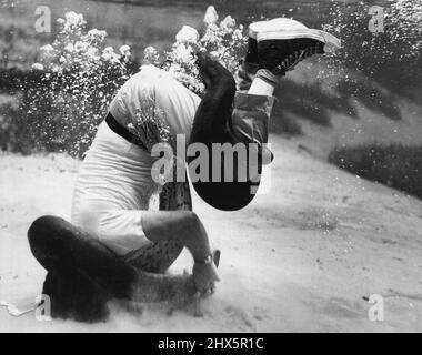 Anacondas (serpenti) - serpenti - animali. Maggio 23, 1955. (Foto di Mozert, Florida Silver Springs). Foto Stock