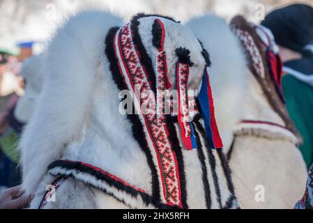 La tradizionale pelliccia di renna Nenet si rivolge al Festival degli allevatori di renne a Salekhard, Okrug autonomo Yamalo-Nenets, Russia Foto Stock