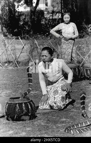 Ma ohn Sein, moglie di un incantatore di serpenti Rangoon, sveglia una cobra dal suo cestino, mentre sua figlia guardiana altri cesti di serpenti sullo sfondo. Maggio 18, 1949. (Foto di Henri Cartier-Bresson, Magnum Photos Inc.). Foto Stock