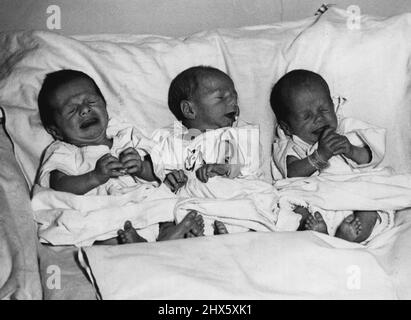 Le Triplets di P.C - Foto di oggi, ha preso un ospedale di San Bartolomeo di triplette che ha fatto la storia della polizia. Sono, da sinistra, Keith, Jill e Jane, sopportati dalla sig.ra Eva Frenchum, moglie se il poliziotto della città di Londra will Fenchum e per quanto i record mostrano che sono le prime triplette con una città constable come padre nei 115 anni della forza. Maggio 19, 1954. (Foto per foto del contratto della posta giornaliera). Foto Stock