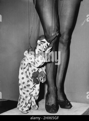 Bimbo il clown (sopra) non è contento di essere così piccolo, se fosse solo più grande potrebbe raggiungere il suo capo, Ronnie Eliot - che è Ronnie gambe nella foto Miss Elliots cuccioli saranno nel concorso di Bondi Domenica prossima - aiuto del Royal Prince Alfred Hospital. Bimbo il clown (sopra) non è felice di essere così piccolo, o forse è irritato ad avere un lavoro con troppe stringhe attaccate. Che mai è lui avrà difficoltà a sussurrare nell'orecchio di questo capo, Ronnie Eliot (lei possiede le Foto Stock