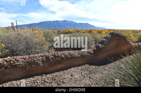 Tradizionale Adobe Wall con vista sugli alberi di cottonwood caduta lungo il Rio Grande in New Mexico. Foto Stock