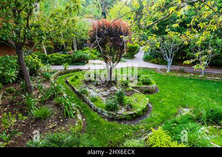 Rigoglioso giardino verde a forma di cuore. Foto Stock