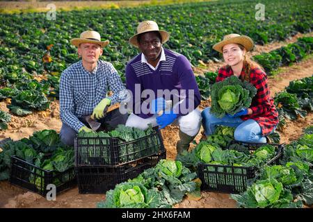 Uomini e donne contadini professionisti sorridenti che posano su una piantagione Foto Stock