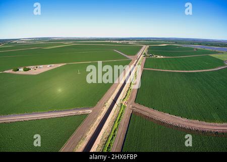 Antenna di campi di cotone irrigati vicino a Emerald Queensland Australia Foto Stock