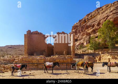 Vista del Qasr al-Bint, con gli asini, nell'antica città nabatea di Petra, Giordania meridionale Foto Stock