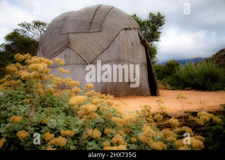 Piante naturali creative, aloe, succulenti e fremiti. Giardini botanici nazionali del Sud Africa. Sfondi, Abstract & Interior Design Foto Stock