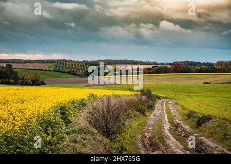 strada sterrata rurale in autunno campi Foto Stock
