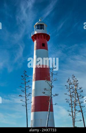 L'iconica struttura di sicurezza marittima rossa e bianca a Geraldton, Australia occidentale conosciuta come il faro di Port Moore con steli di sisal in primo piano. Foto Stock