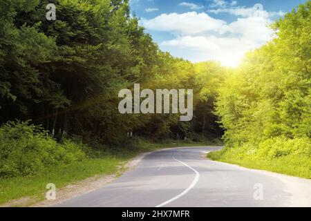 Strada asfaltata vuota che attraversa la foresta. Foto Stock