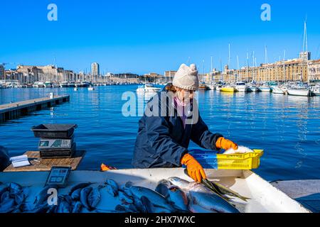 Pêcheur, Marché au Poisson, Vieux Port, Marsiglia Francia Paca Foto Stock