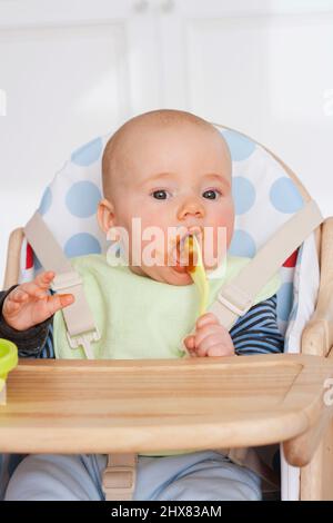 Bambino ragazzo legato in legno seggiolone alimentandosi cibo purea da un cucchiaio di plastica Foto Stock
