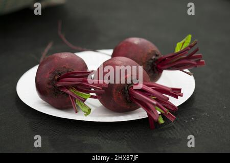 Barbabietola in mostra in una fiera del villaggio Foto Stock