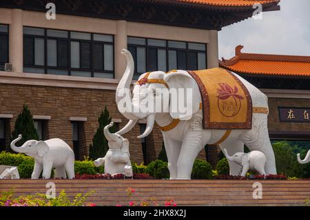 Statua di elefanti bianchi al Monastero di Fo Guang Shan a Kaohsiung, Taiwan Foto Stock