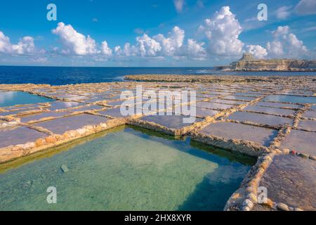 Saline di Gozo sulla baia di Xwejni - isola di Malta Foto Stock