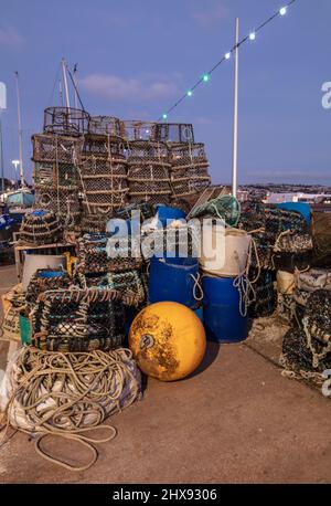 Colorate boe commerciali di pesca in un paesaggio più ampio del porto di paignton sulla vacanza esotica rendendo English Riviera, Torbay, Foto Stock