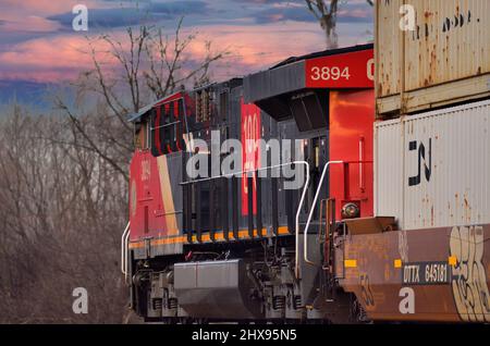 Bartlett, Illinois, Stati Uniti. Un'unica locomotiva ferroviaria nazionale canadese conduce un treno merci intermodale attraverso un incrocio di un'altra ferrovia. Foto Stock