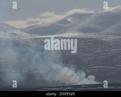 Heather Burning - Grouse Moor Management Foto Stock