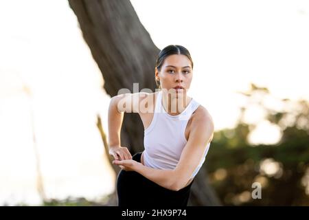 Giovane ballerina multirazziale femmina nel boschetto di alberi cipressi Foto Stock