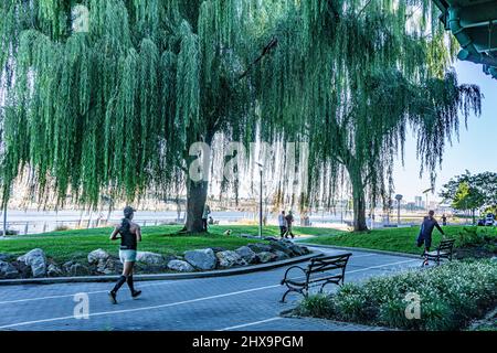 Joggers and Weeping Willow Tree, Riverside Park South, New York City, New York, USA Foto Stock