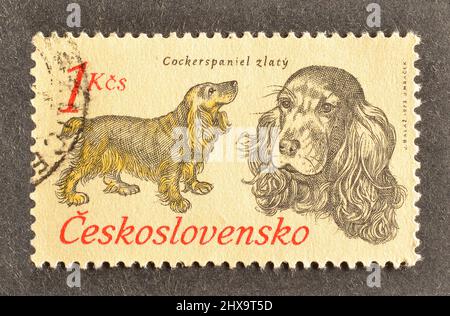 Timbro postale annullato stampato dalla Cecoslovacchia, che mostra Cocker Spaniel (Canis lupus familiaris), circa 1973. Foto Stock