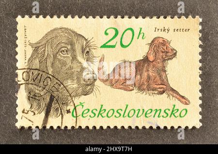 Timbro postale annullato stampato dalla Cecoslovacchia, che mostra Irish Setter (Canis lupus familiaris), circa 1973. Foto Stock